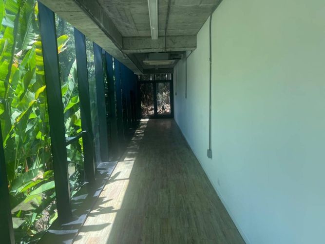 Local en arriendo en Los Balsos, Medellín, 70 m² · foto 5 de 14