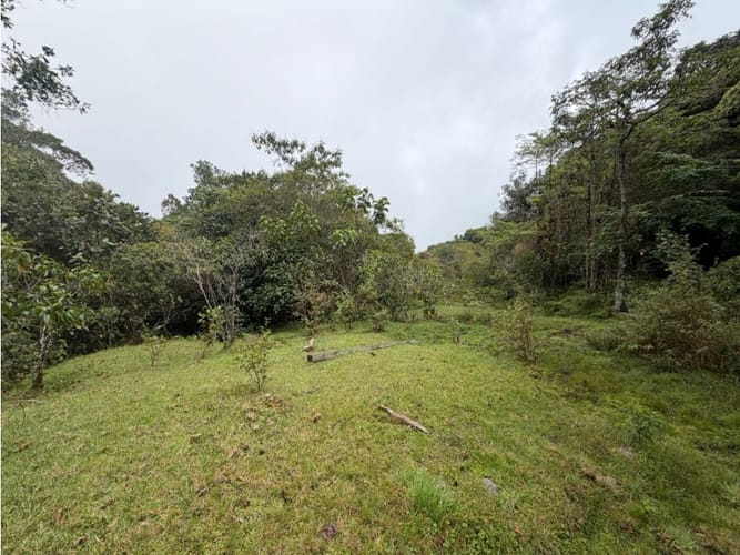 Lote en venta en Corregimiento De Minca, Santa Marta · foto 5 de 24