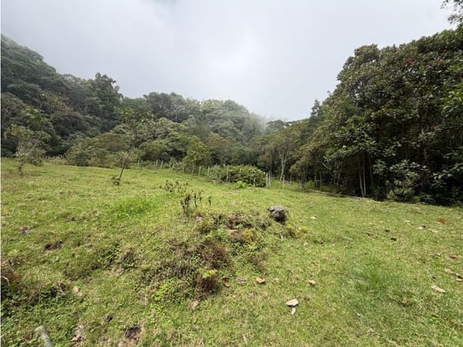 Lote en venta en Corregimiento De Minca, Santa Marta · foto 6 de 24