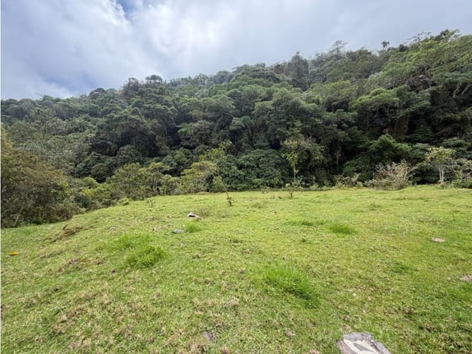 Lote en venta en Corregimiento De Minca, Santa Marta · foto 7 de 24