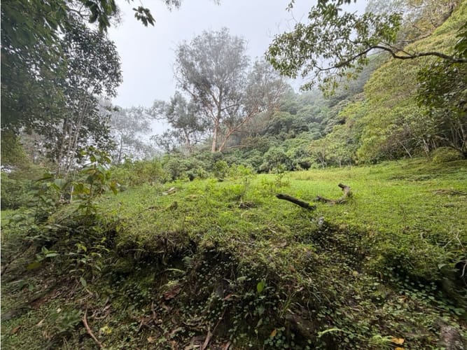 Lote en venta en Corregimiento De Minca, Santa Marta · foto 8 de 24
