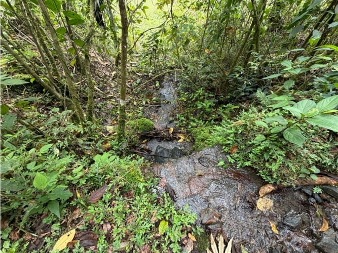 Lote en venta en Corregimiento De Minca, Santa Marta · foto 9 de 24