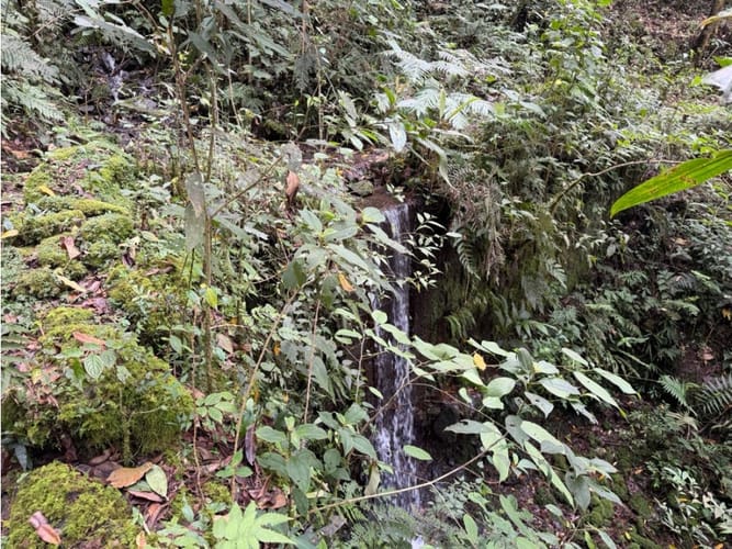 Lote en venta en Corregimiento De Minca, Santa Marta · foto 11 de 24