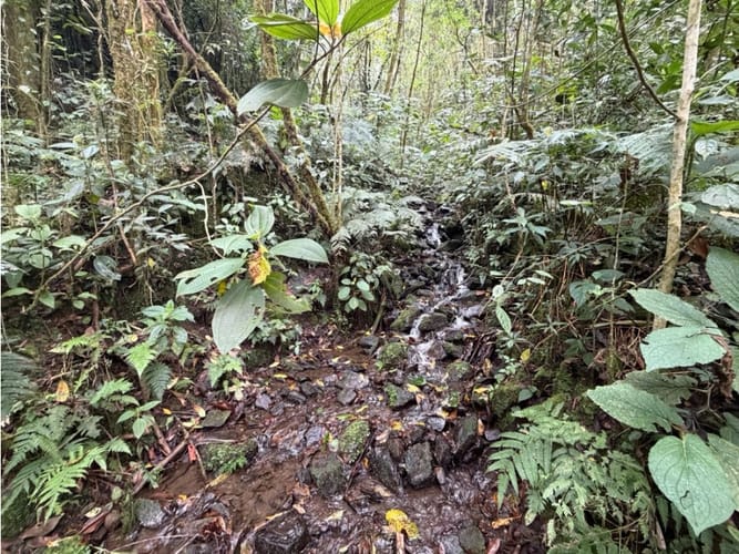 Lote en venta en Corregimiento De Minca, Santa Marta · foto 12 de 24