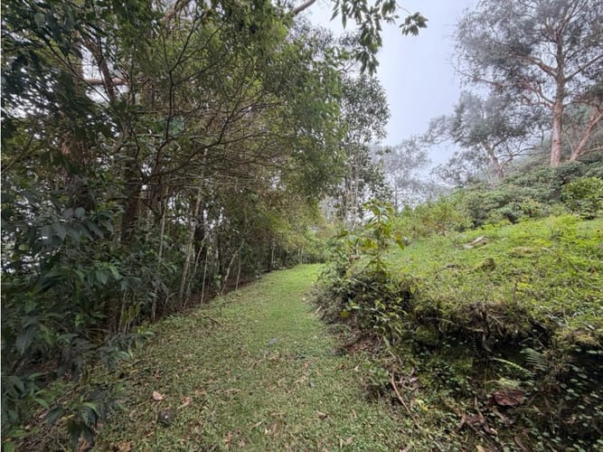 Lote en venta en Corregimiento De Minca, Santa Marta · foto 13 de 24