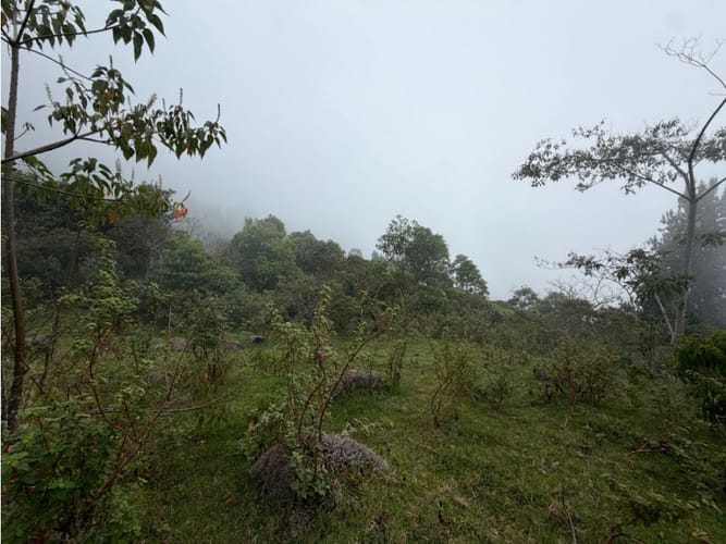 Lote en venta en Corregimiento De Minca, Santa Marta · foto 17 de 24