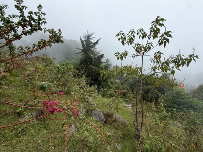 Lote en venta en Corregimiento De Minca, Santa Marta · foto 18 de 24