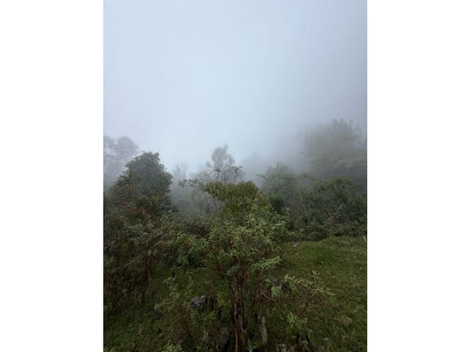 Lote en venta en Corregimiento De Minca, Santa Marta · foto 20 de 24