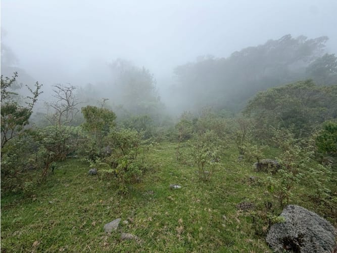 Lote en venta en Corregimiento De Minca, Santa Marta · foto 24 de 24