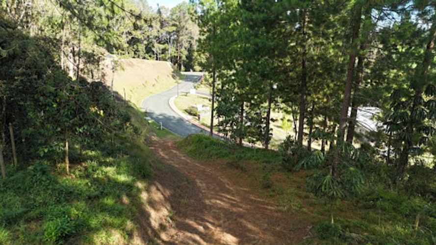Lote en venta en El Retiro, 3684 m² · foto 6 de 13