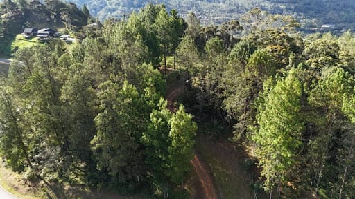 Lote en venta en El Retiro, 3684 m² · foto 9 de 13