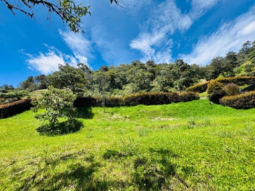 Lote en venta en Don Diego, El Retiro, 3050 m² · foto 7 de 11