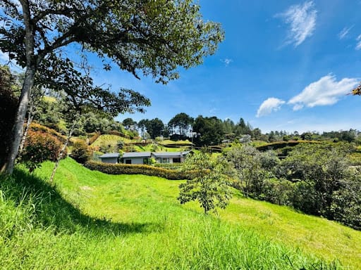 Lote en venta en Don Diego, El Retiro, 3050 m² · foto 10 de 11