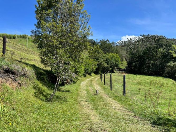 Finca en arriendo en La Ceja, 160 m² · foto 6 de 14
