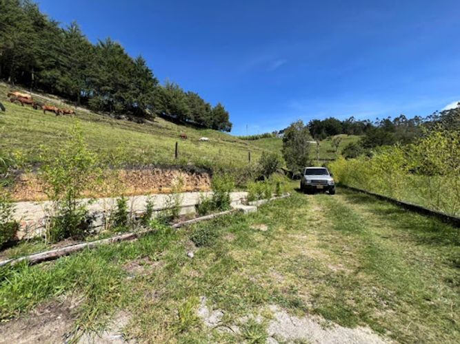 Finca en arriendo en La Ceja, 160 m² · foto 14 de 14