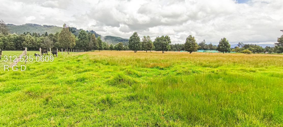 Lote en venta en Verganzo, Tocancipá, 33400 m² · foto 5 de 8