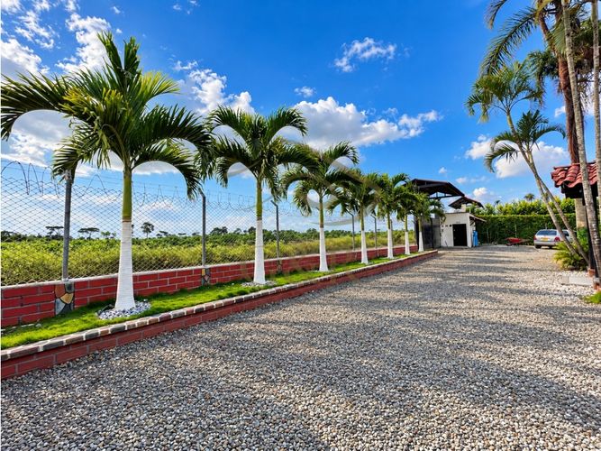 Finca en venta en Armenia, 800 m² · foto 3 de 24
