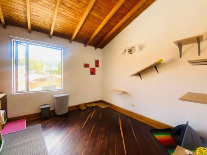 Apartamento de 4 alcobas en venta en La Ceja, 157 m² · foto 11 de 14