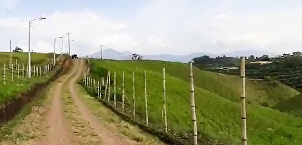 Finca en venta en San Jose Sur, Pereira, 10000 m² · foto 5 de 11