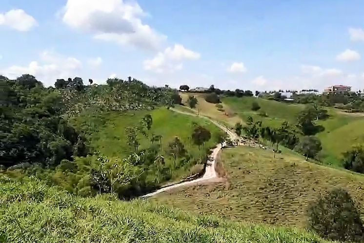 Finca en venta en San Jose Sur, Pereira, 10000 m² · foto 7 de 11