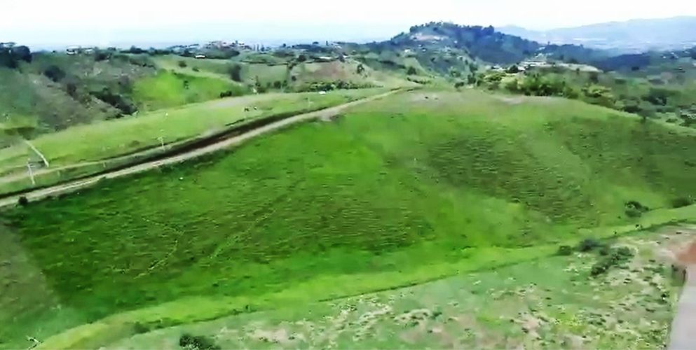 Finca en venta en San Jose Sur, Pereira, 10000 m² · foto 9 de 11