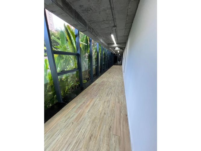 Oficina en arriendo en Los Balsos, Medellín, 71 m² · foto 2 de 10