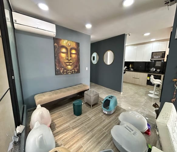 Edificio en venta en El Ingenio, Cali, 860 m² · foto 21 de 24
