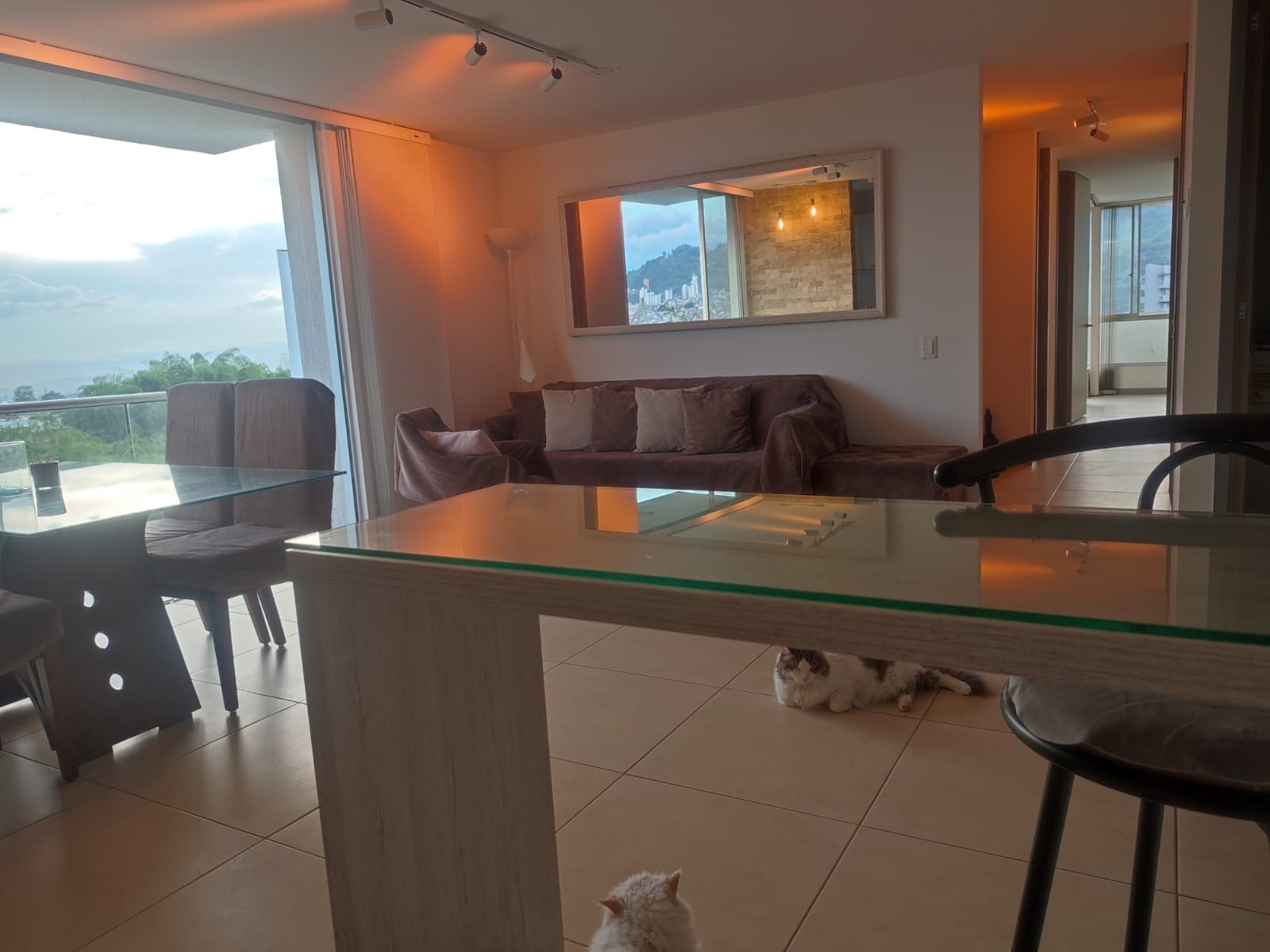 Apartamento en venta en Ub. Villa Carina, Dosquebradas · foto 4 de 14