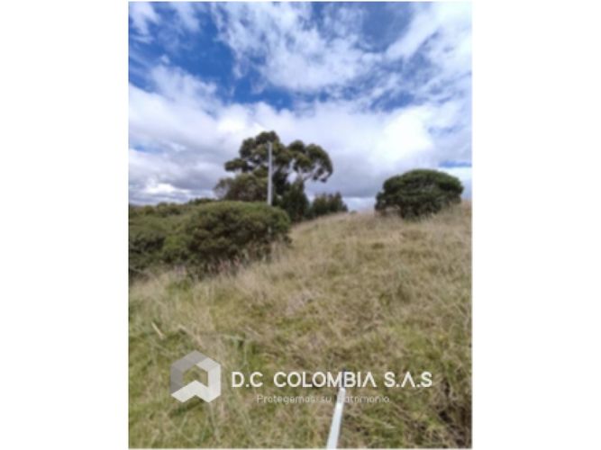 Lote en venta en Yerbabuena, Chía · foto 2 de 6