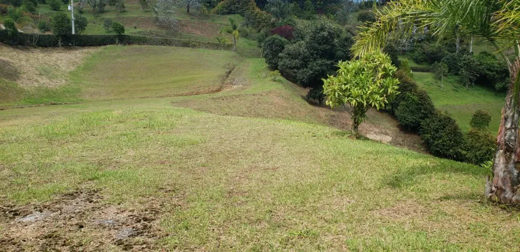 Lote en venta en Guayabito, Rionegro, 3369 m² · foto 5 de 14