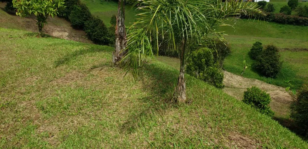 Lote en venta en Guayabito, Rionegro, 3369 m² · foto 8 de 14