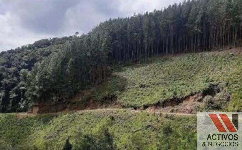 Finca en venta en Puente Pelaez, El Retiro · foto 6 de 24