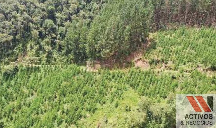 Finca en venta en Puente Pelaez, El Retiro · foto 9 de 24