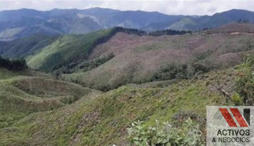Finca en venta en Puente Pelaez, El Retiro · foto 12 de 24