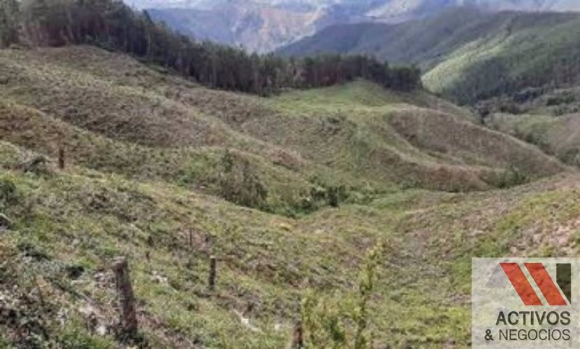 Finca en venta en Puente Pelaez, El Retiro · foto 13 de 24