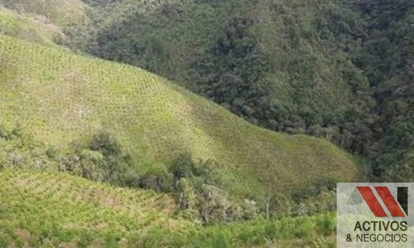 Finca en venta en Puente Pelaez, El Retiro · foto 14 de 24