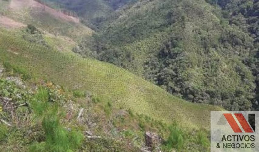 Finca en venta en Puente Pelaez, El Retiro · foto 15 de 24