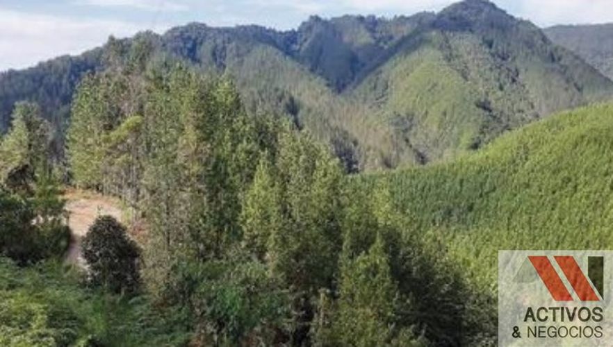 Finca en venta en Puente Pelaez, El Retiro · foto 17 de 24
