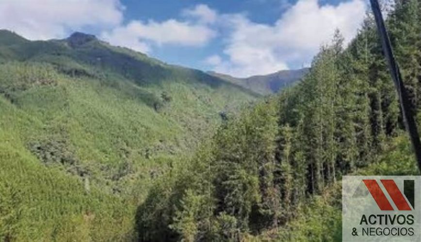 Finca en venta en Puente Pelaez, El Retiro · foto 18 de 24
