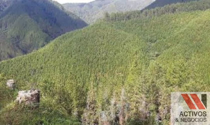 Finca en venta en Puente Pelaez, El Retiro · foto 21 de 24