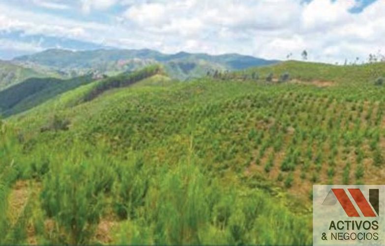 Finca en venta en Puente Pelaez, El Retiro · foto 24 de 24