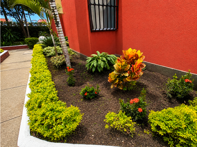 Apartamento de 3 alcobas en venta en Sameco, Cali, 57 m² · foto 20 de 21