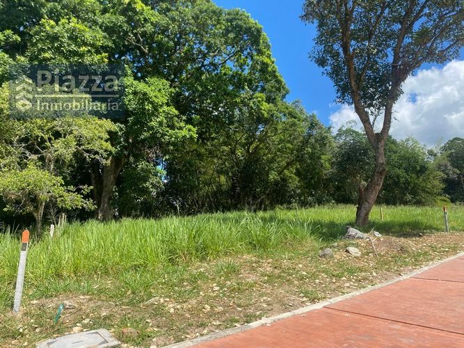 Lote en venta en Bellavista, Ibagué, 1136 m² · foto 12 de 24