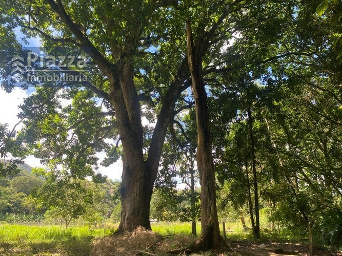 Lote en venta en Bellavista, Ibagué, 1136 m² · foto 11 de 24