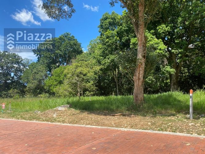 Lote en venta en Bellavista, Ibagué, 1136 m² · foto 15 de 24