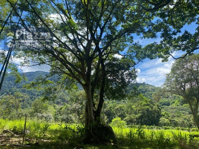 Lote en venta en Bellavista, Ibagué, 1136 m² · foto 21 de 24