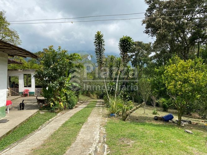 Lote en venta en Santa Teresa, Ibagué · foto 13 de 24