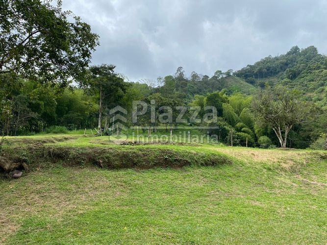 Lote en venta en Santa Teresa, Ibagué · foto 7 de 24