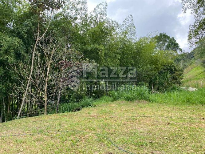 Lote en venta en Santa Teresa, Ibagué · foto 10 de 24