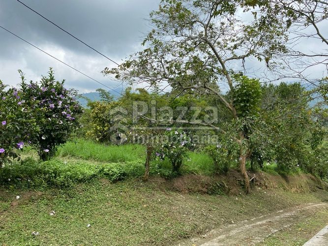 Lote en venta en Santa Teresa, Ibagué · foto 23 de 24